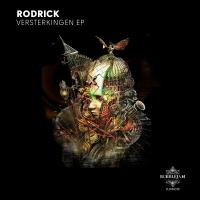 Artwork for Versterkingen EP by Rodrick