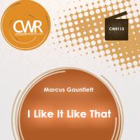 Artwork for I Like It Like That by Marcus Gauntlett