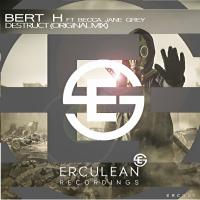 Artwork for Destruct by Bert H