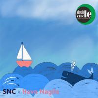 Artwork for Hava Nagila by SNC