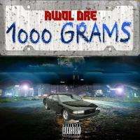 Artwork for 1000 Grams by Awol Dre