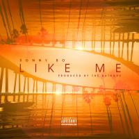 Artwork for Like Me by Sonny Bo