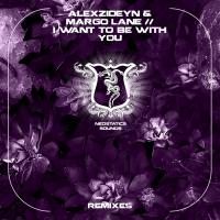 Artwork for I Want To Be With You by AlexZideyn