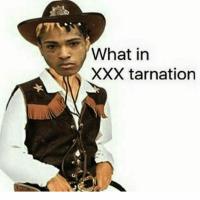 Artwork for What in XXXTarnation (feat. Ski Mask the Slump God) by XXXTENTACION