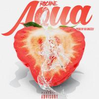Artwork for Aqua by Rocaine