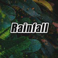 Artwork for Rainfall by Relaxing Music Therapy