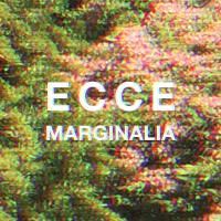 Artwork for Marginalia by Ecce