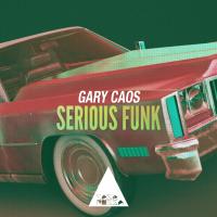 Artwork for Serious Funk by Gary Caos