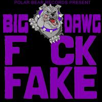 Artwork for Fuck Fake by Big Dawg