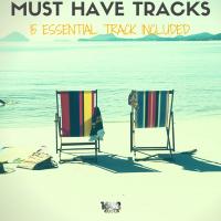 Artwork for Must Have Tracks 2 by Various Artists