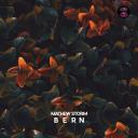Artwork for Bern