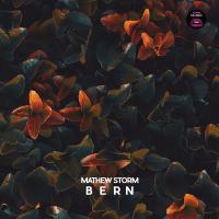 Artwork for Bern by Mathew Storm