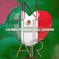 Artwork for In the Air, Pt 3 (feat. Cdamore) (The Mexican Remixes) by Las Bibas From Vizcaya