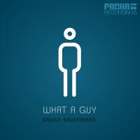 Artwork for What a Guy by Bruno Kauffmann