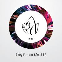 Artwork for Not Afraid EP by Aney F.