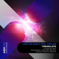 Artwork for Tressilate by Liam Wilson