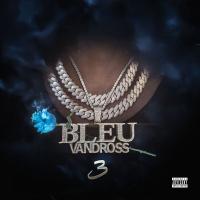 Artwork for Bleu Vandross 3 by Yung Bleu