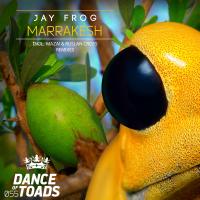 Artwork for Marrakesh Remixes 2 by Jay Frog