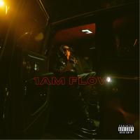 Artwork for 1AM FLOW by RJmrLA