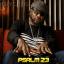 Artwork for Psalm 23 (Jerry C. King Accapella Mix)