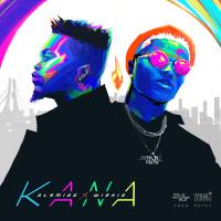 Artwork for KANA by Olamide