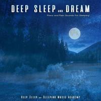 Artwork for Deep Sleep and Dream: Piano and Rain Sounds For Sleeping by Deep Sleep