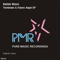 Artwork for Terminate & Future Angel EP by Damian Wasse