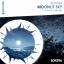 Artwork for Moonlit Sky (Original Mix)
