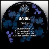 Artwork for Brutus by Sanel