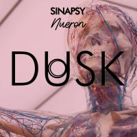 Artwork for Nueron by Sinapsy