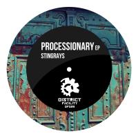 Artwork for Processionary by Stingrays