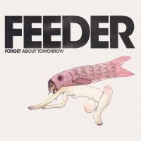 Artwork for Forget About Tomorrow by Feeder