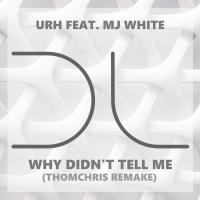 Artwork for Why Didn't Tell Me (ThomChris Remake) by URH