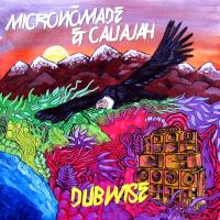 Artwork for Dubwise by Micronomade