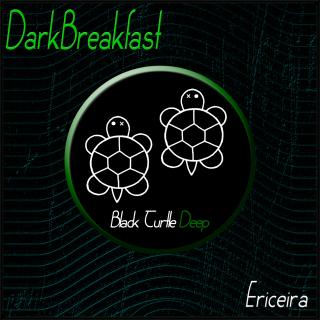 Artwork for Ericeira