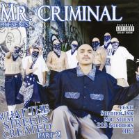 Artwork for What the Streets Created, Pt. 2 by Mr. Criminal