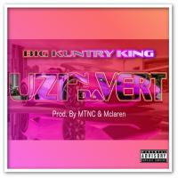 Artwork for Uzi in da Vert by Big Kuntry King