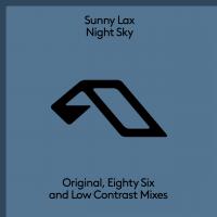 Artwork for Night Sky by Sunny LAX