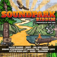 Artwork for SoundPark Riddim by Various Artists