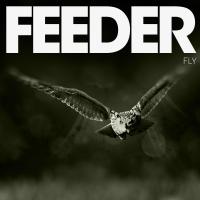 Artwork for Fly by Feeder