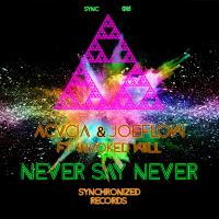 Artwork for Never Say Never by ACVCIA