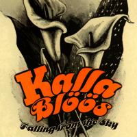 Artwork for Falling from the Sky / The Fool by Kallablöös