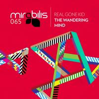 Artwork for The Wandering Mind by Real Gone Kid
