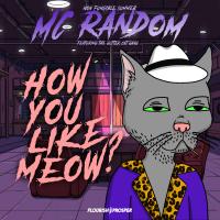 Artwork for How You Like Meow? by MC Random