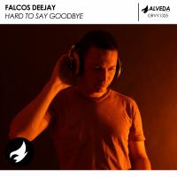 Artwork for Hard To Say Goodbye by Falcos Deejay