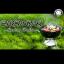 Artwork for Sunday Chillin (Original Mix)