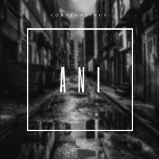 Artwork for Ani Poll (Original Mix)
