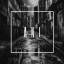 Artwork for Ani Poll (Original Mix)
