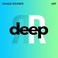 Artwork for Deep by Whale Sounds