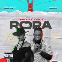 Artwork for Rora (Remix) [Feat. Qdot] by TIPSY